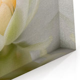 Abstract Botanical Print - Tranquil Lotus Blossom Canvas Art