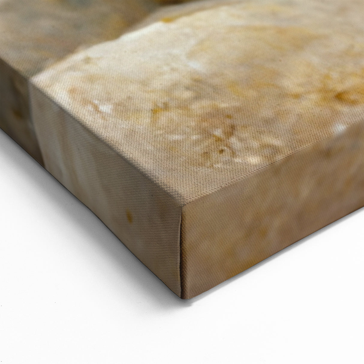 Floral Abstract Canvas - Textured White Blossoms Wall Art