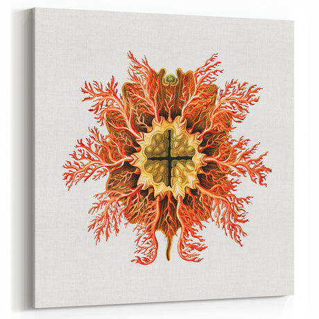 Modern Wall Art: Vibrant Vintage Tunicate Illustration – Unique Botanical Decor