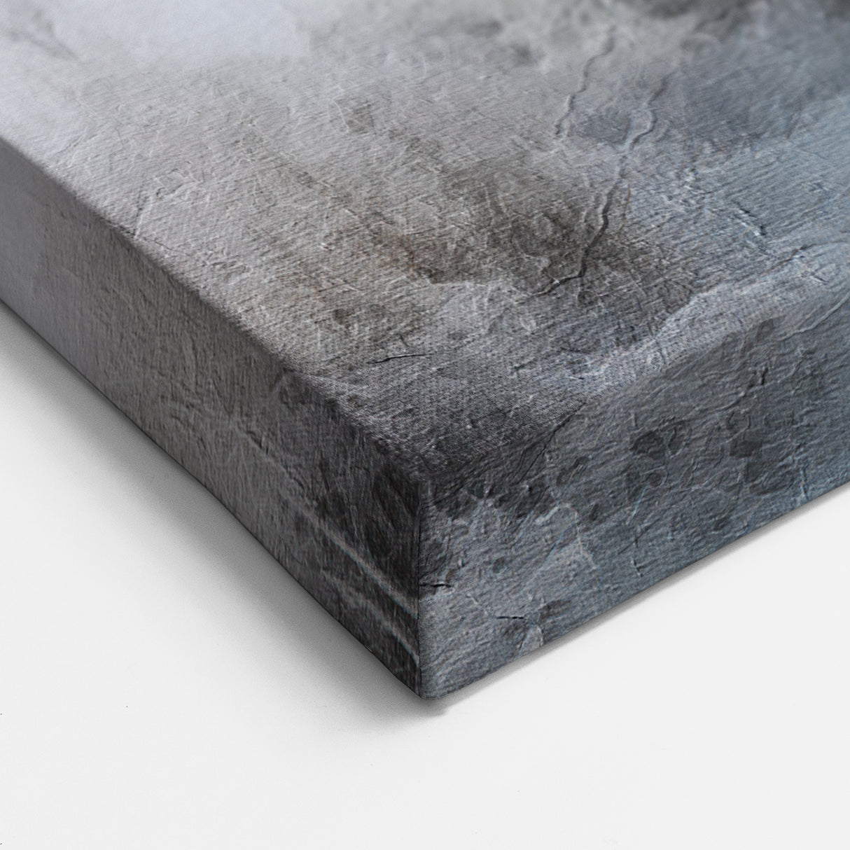 Winter Cottage Frosted Tree Wall Art - Snowy Path and Calm Landscape