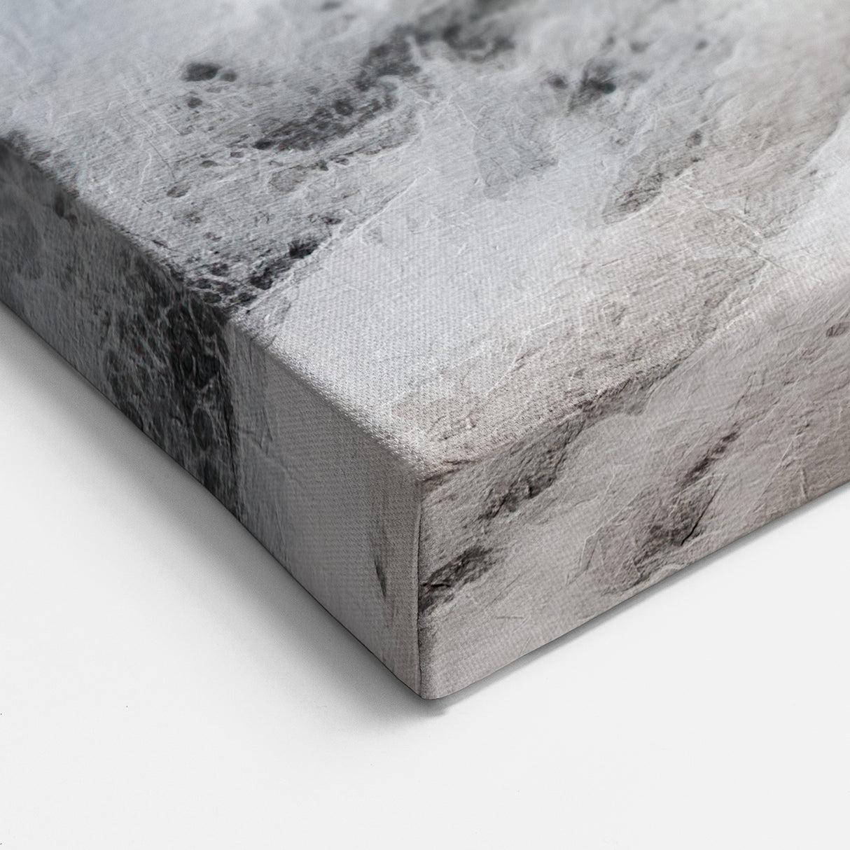 Winter Cottage Path Wall Art - Snowy Road with Frosted Tree Print