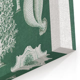Vintage Scientific Wall Art - Detailed Marine Life Illustration in Green