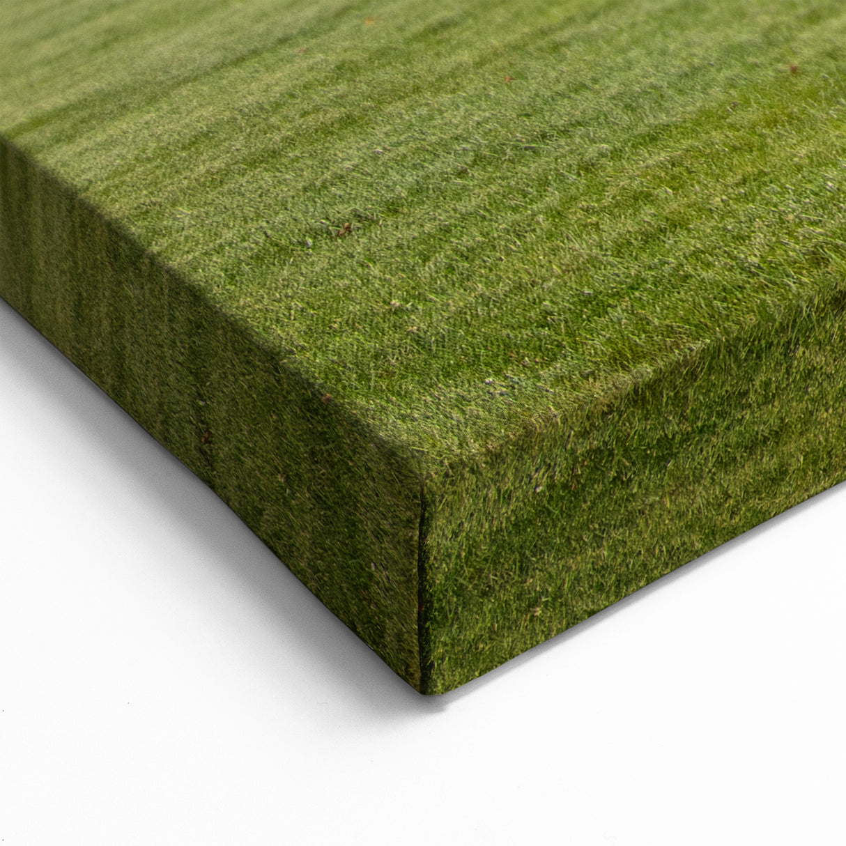 Daytime White House Wall Art – Washington DC Landmark Canvas Print