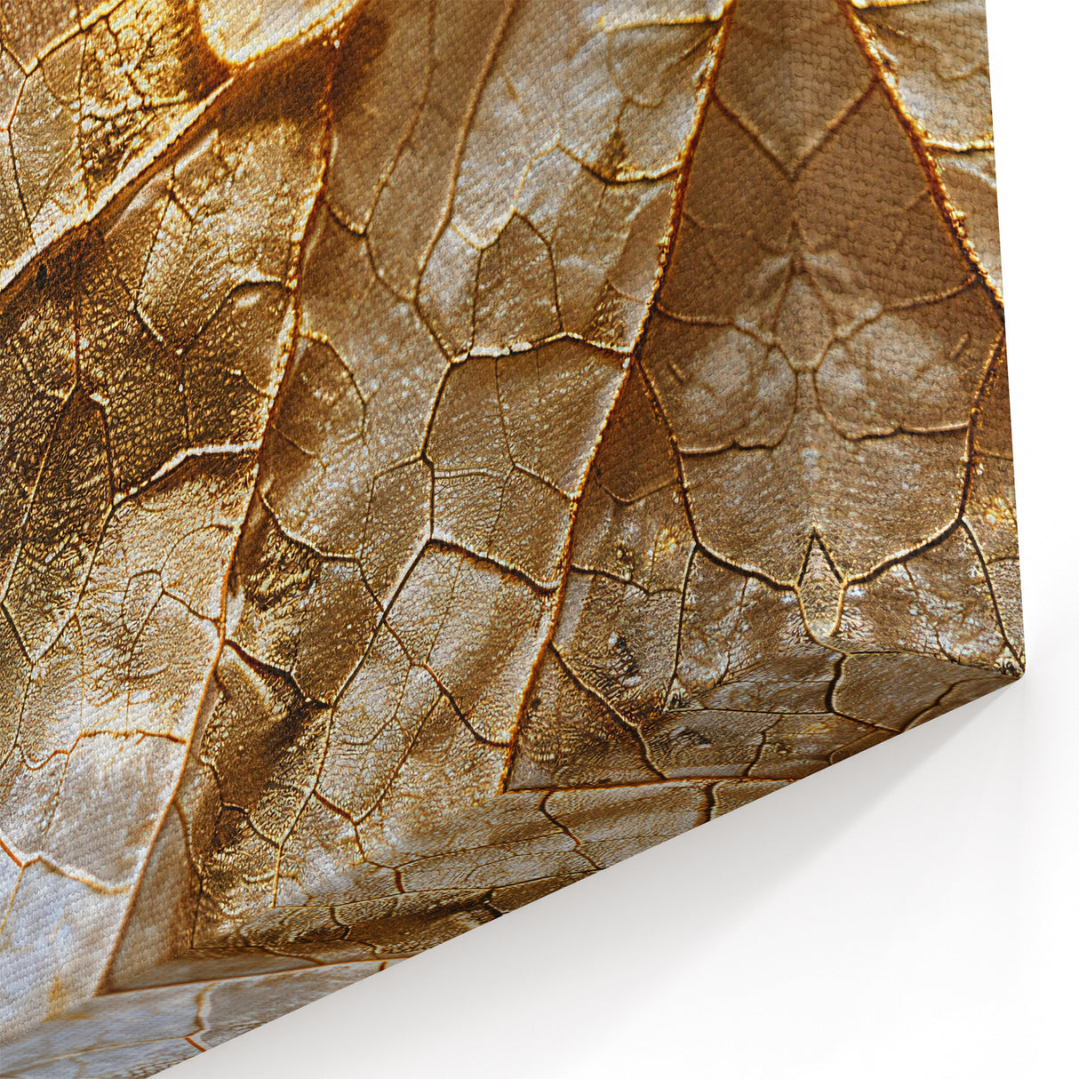 Golden Leaf Wall Art - Textured Close-Up Leaf Photography Print