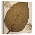 Minimalist Brown Leaf Art - Botanical Close-Up Leaf Photography Print