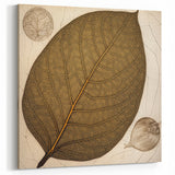 Minimalist Brown Leaf Art - Botanical Close-Up Leaf Photography Print