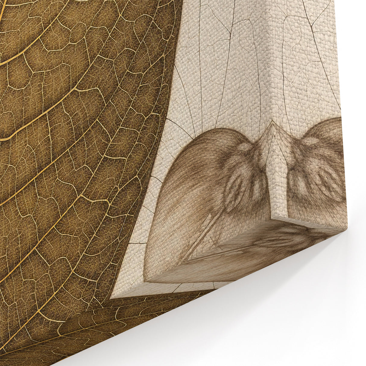 Minimalist Brown Leaf Art - Botanical Close-Up Leaf Photography Print