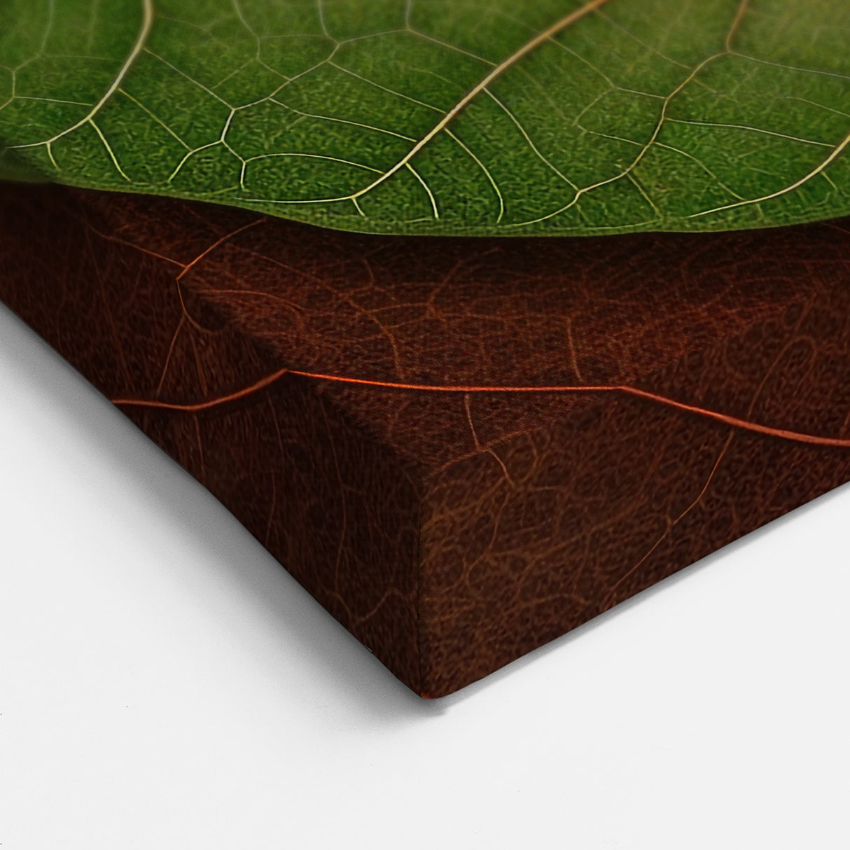 Vibrant Red Vein Leaf Art - Botanical Close-Up Nature Wall Decor Print