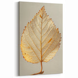 Leaf Photography Art - Minimalist Beige and Gold Leaf Wall Decor
