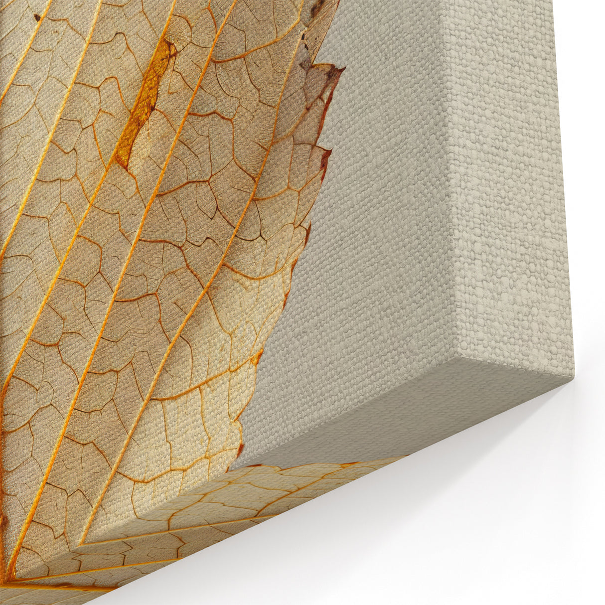 Leaf Photography Art - Minimalist Beige and Gold Leaf Wall Decor