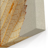 Leaf Photography Art - Minimalist Beige and Gold Leaf Wall Decor