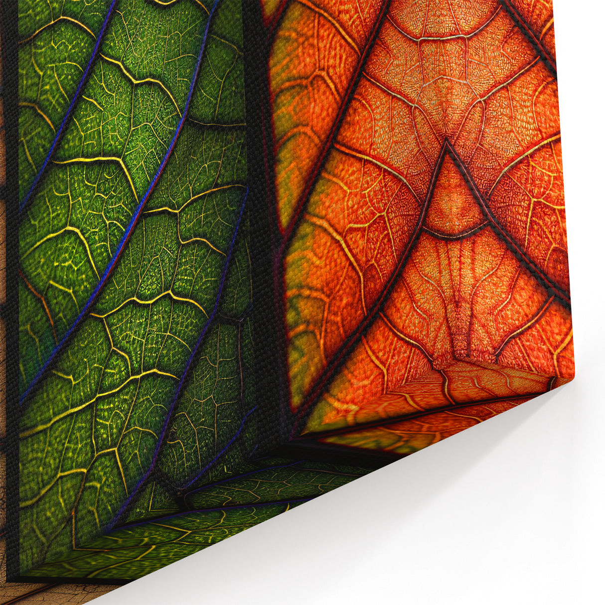 Seasonal Leaf Photography - Vibrant Close-Up Leaf Wall Art Print