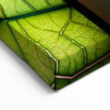 Seasonal Leaf Photography - Vibrant Close-Up Leaf Wall Art Print
