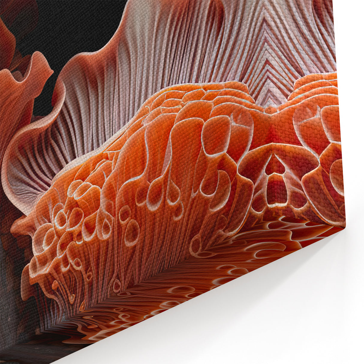 Nature Closeup Wall Art - Vibrant Coral Mushroom Macro Photography