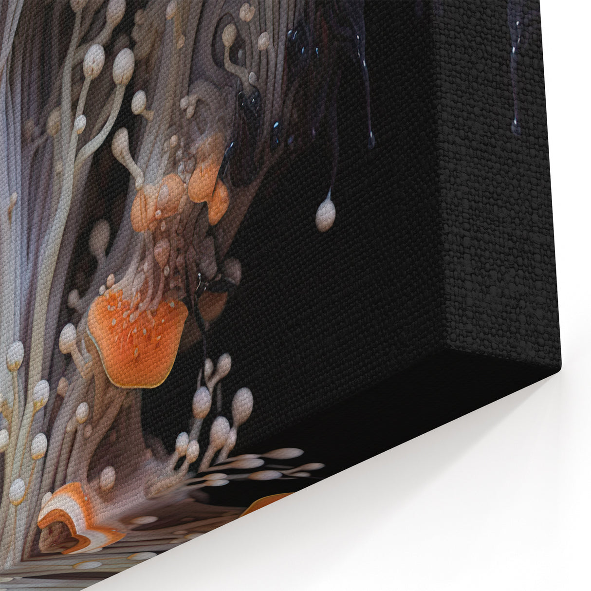 Wildlife Closeup Art Prints - Cream and Orange Mushroom Macro Design