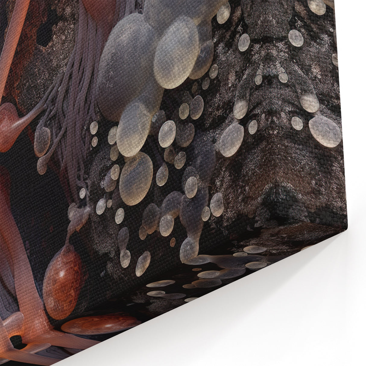 Macro Nature Photography Print - Orange and Coral Mushroom Art