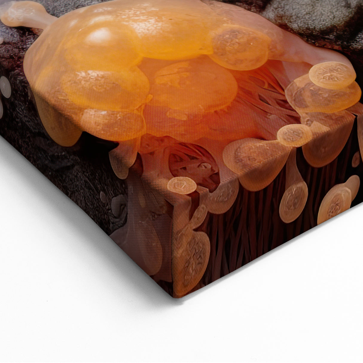 Macro Nature Photography Print - Orange and Coral Mushroom Art