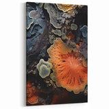 Abstract Coral Wall Art - Orange Lace-Like Macro Nature Photography