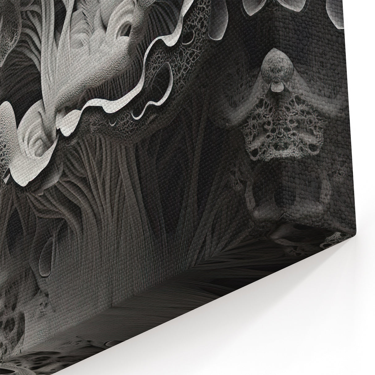 Monochrome Abstract Wall Art - Black and White Macro Texture Print