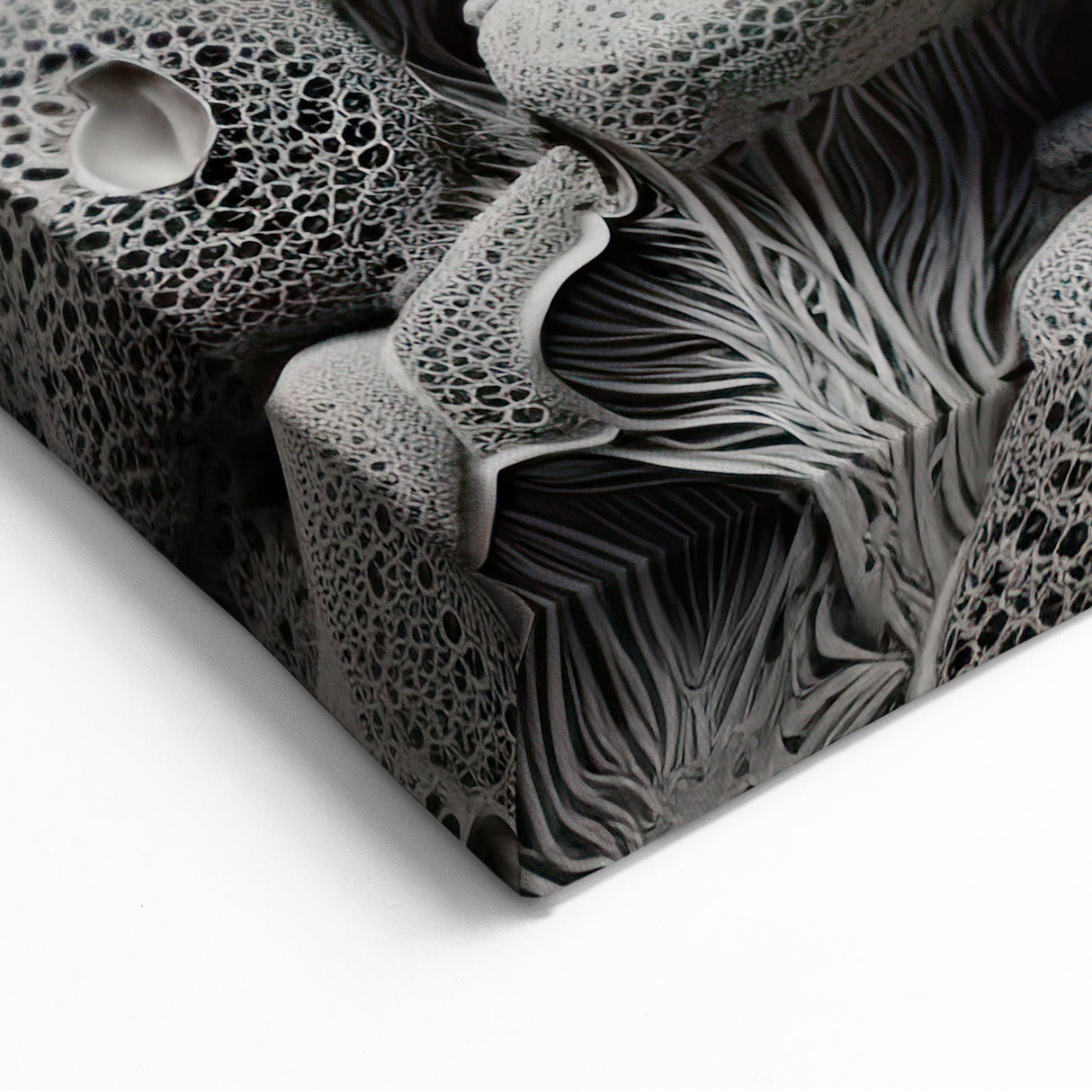 Monochrome Abstract Wall Art - Black and White Macro Texture Print