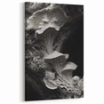 Elegant Monochrome Mushroom Art – Grayscale Nature Macro Wall Decor