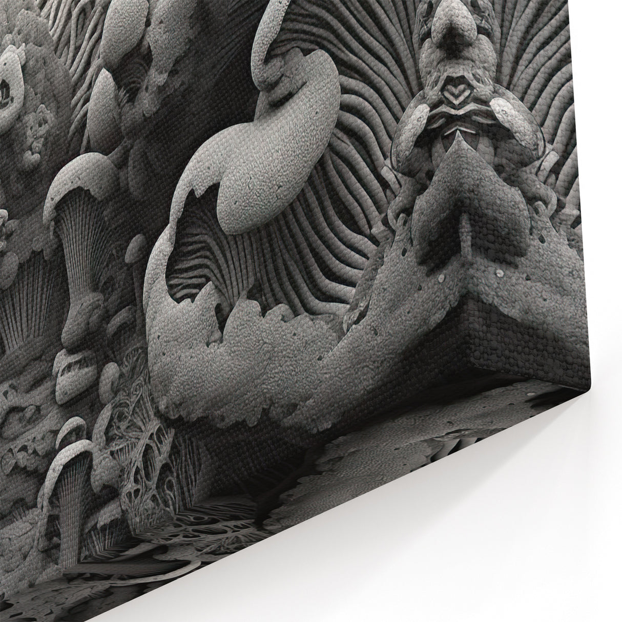 Monochrome Fungi Macro Art – Elegant Grayscale Nature Wall Decor Print