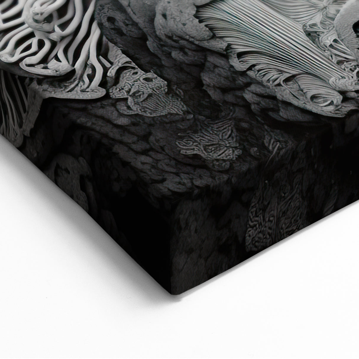 Monochrome Fungi Macro Art – Elegant Grayscale Nature Wall Decor Print