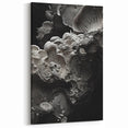 Grayscale Mushroom Macro Art – Elegant Monochrome Nature Wall Decor
