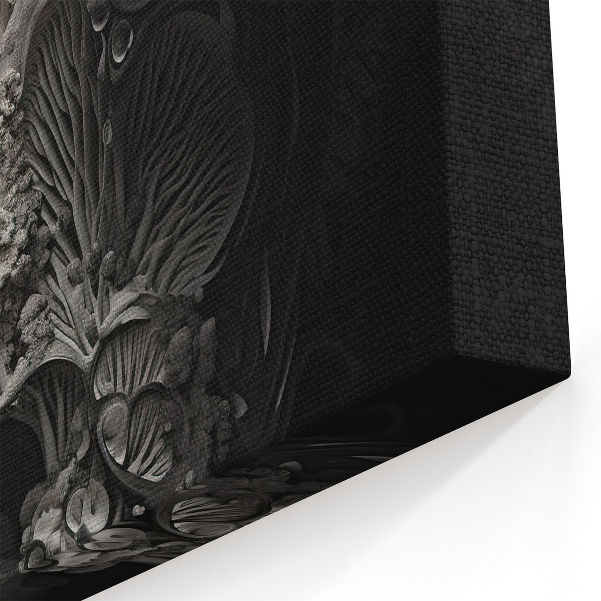 Grayscale Mushroom Macro Art – Elegant Monochrome Nature Wall Decor