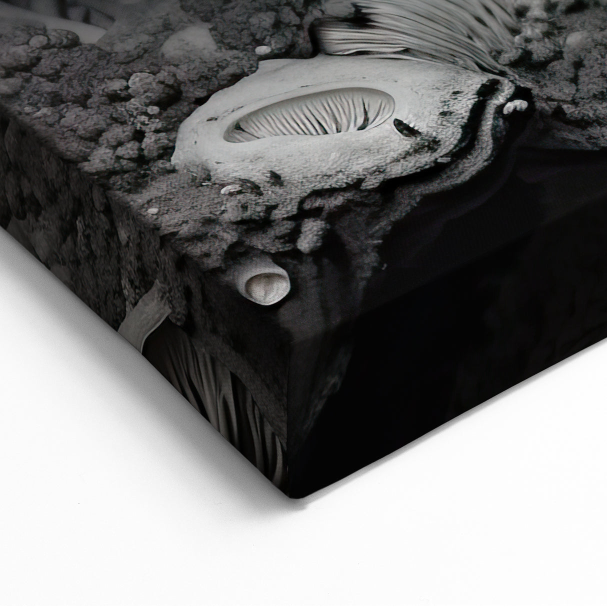 Grayscale Mushroom Macro Art – Elegant Monochrome Nature Wall Decor