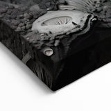 Grayscale Mushroom Macro Art – Elegant Monochrome Nature Wall Decor