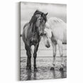 Graceful Horses in Black and White - Wildlife Photography Wall Art