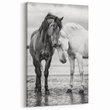 Graceful Horses in Black and White - Wildlife Photography Wall Art