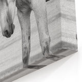 Graceful Horses in Black and White - Wildlife Photography Wall Art