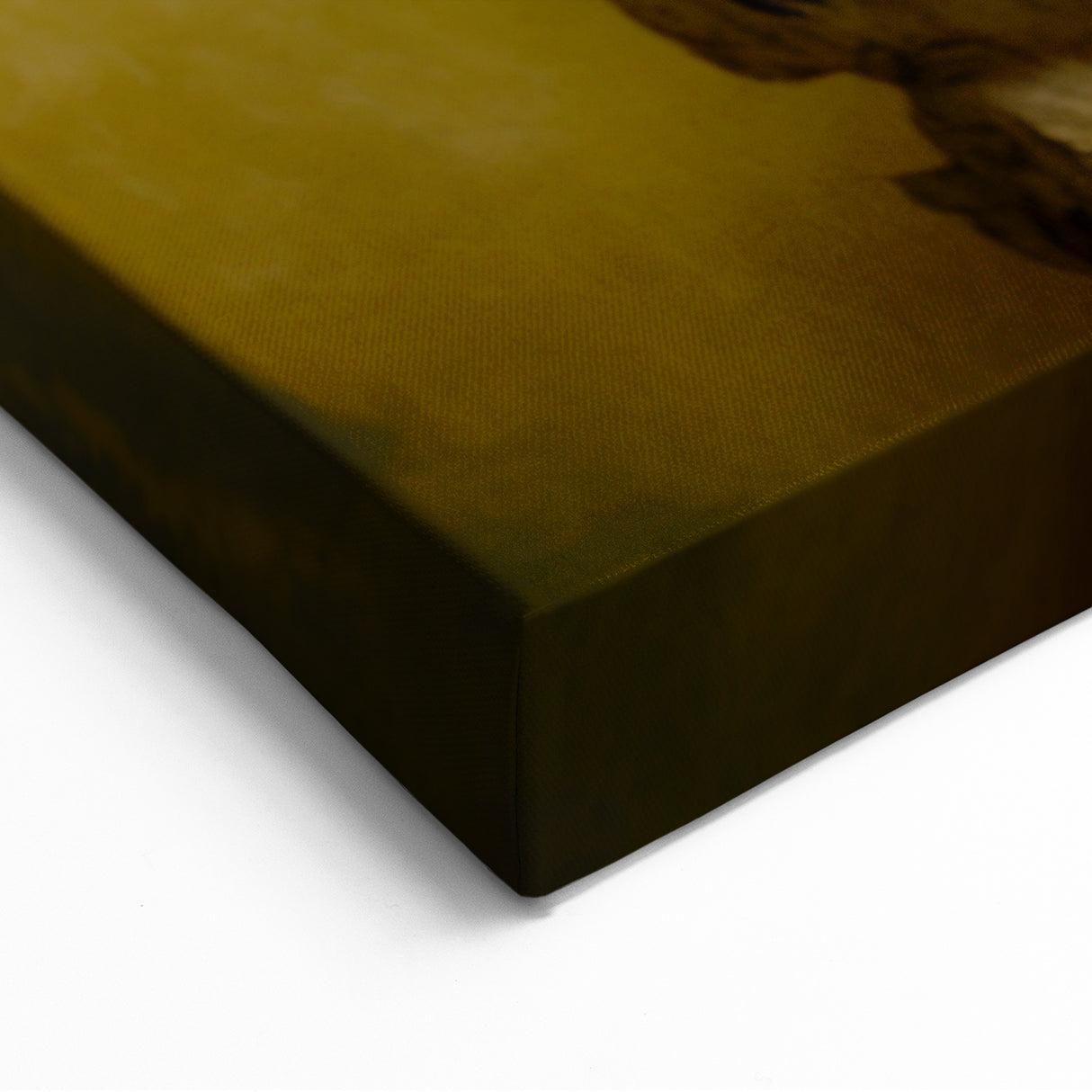 Regal Osprey Wildlife Painting - Animal Canvas Wall Art for Home Decor