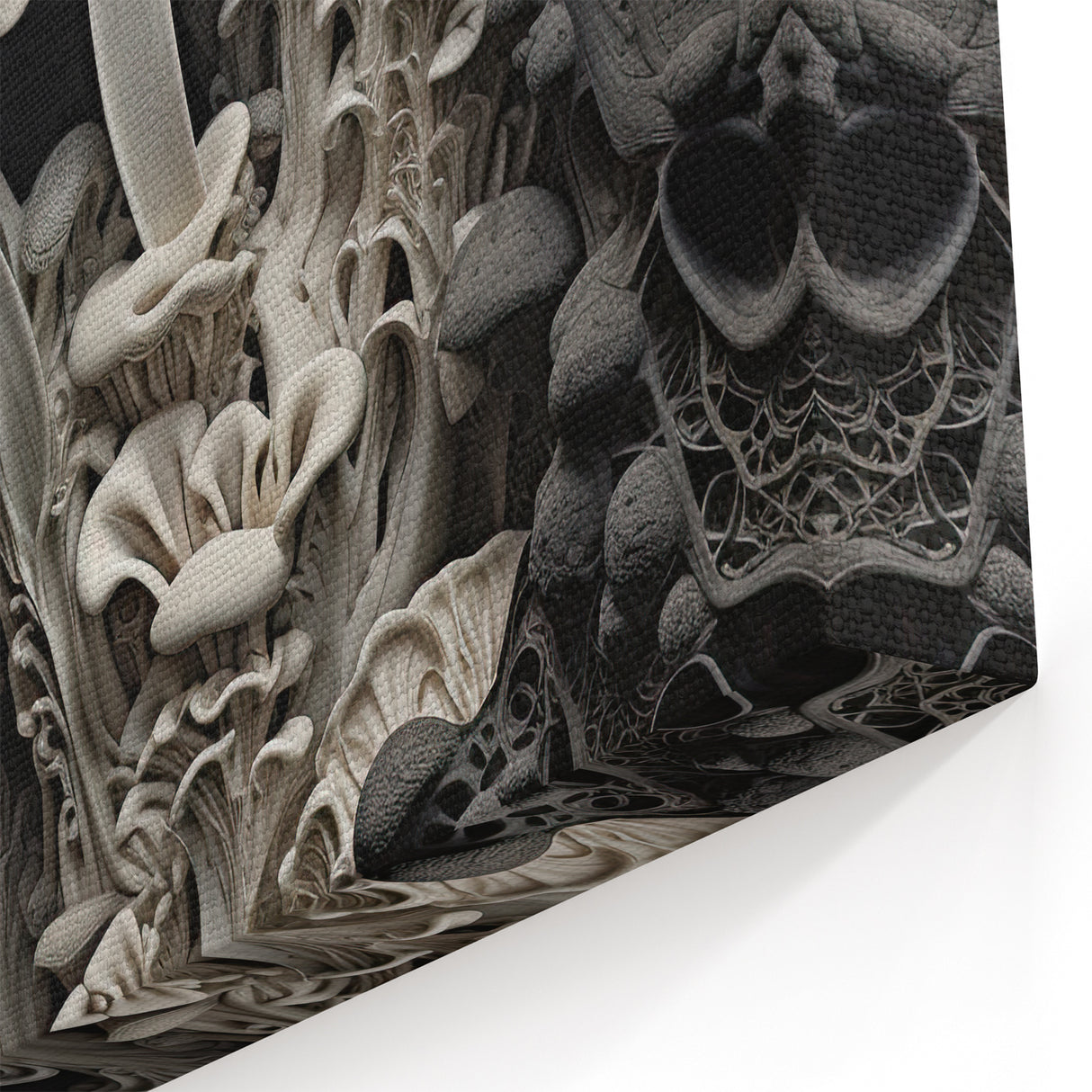 Elegant Mushroom Closeup Wall Art – Nature's Intricate Macro Details