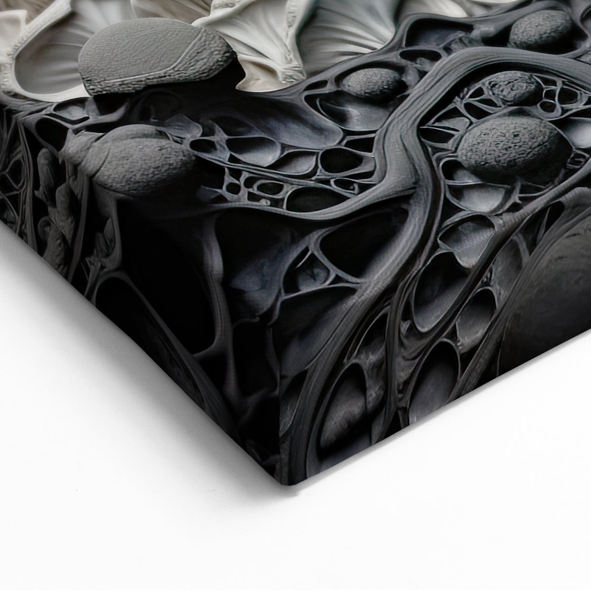 Elegant Mushroom Closeup Wall Art – Nature's Intricate Macro Details