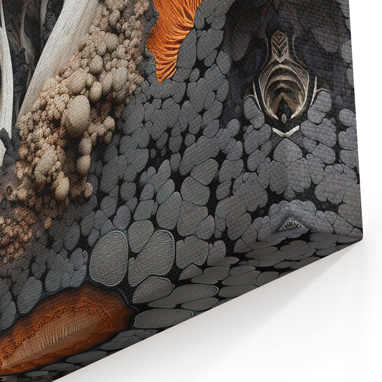 Textured Fungi Macro Photography Wall Art – Nature's Organic Beauty