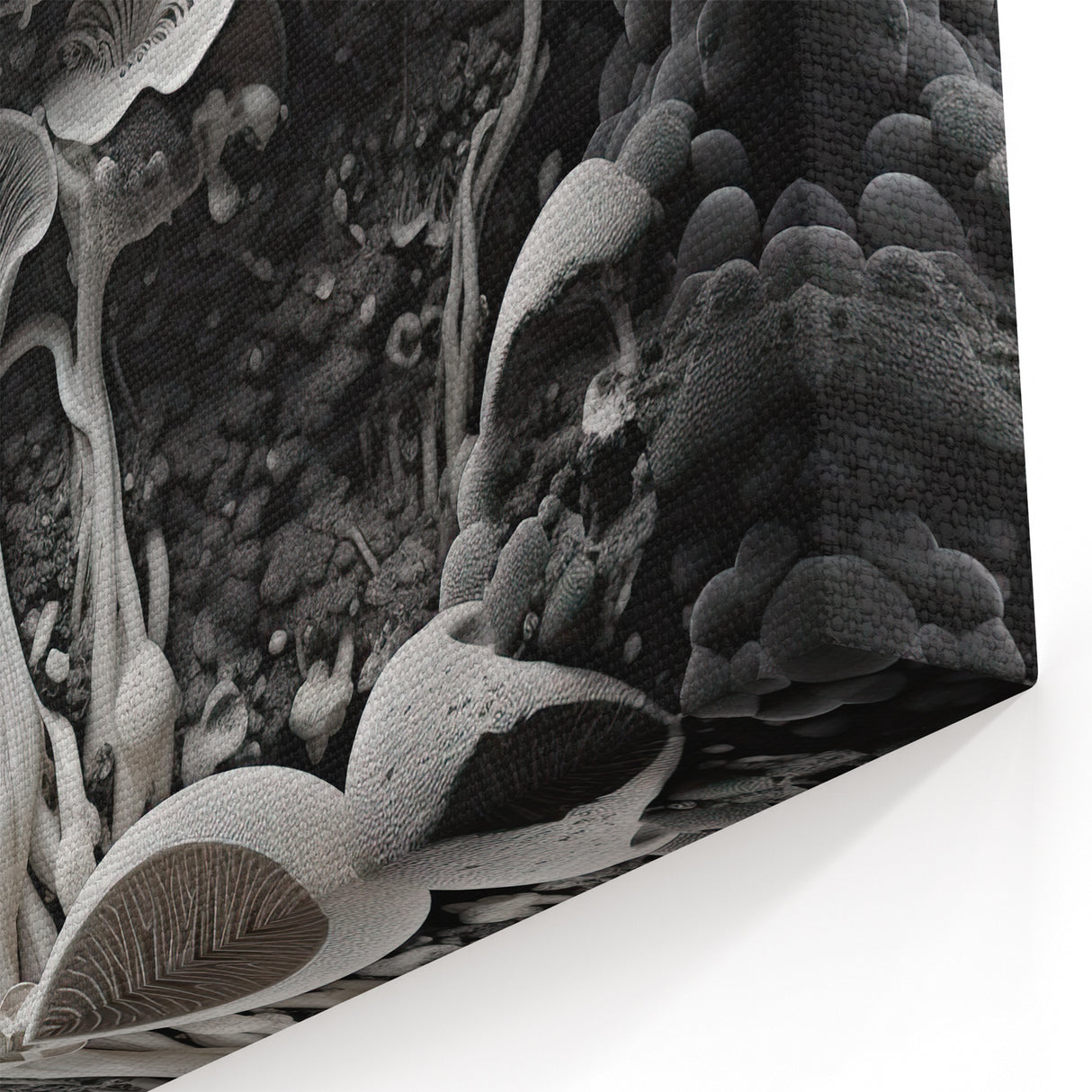 Monochrome Mushroom Macro Wall Art – Nature's Subtle Elegance