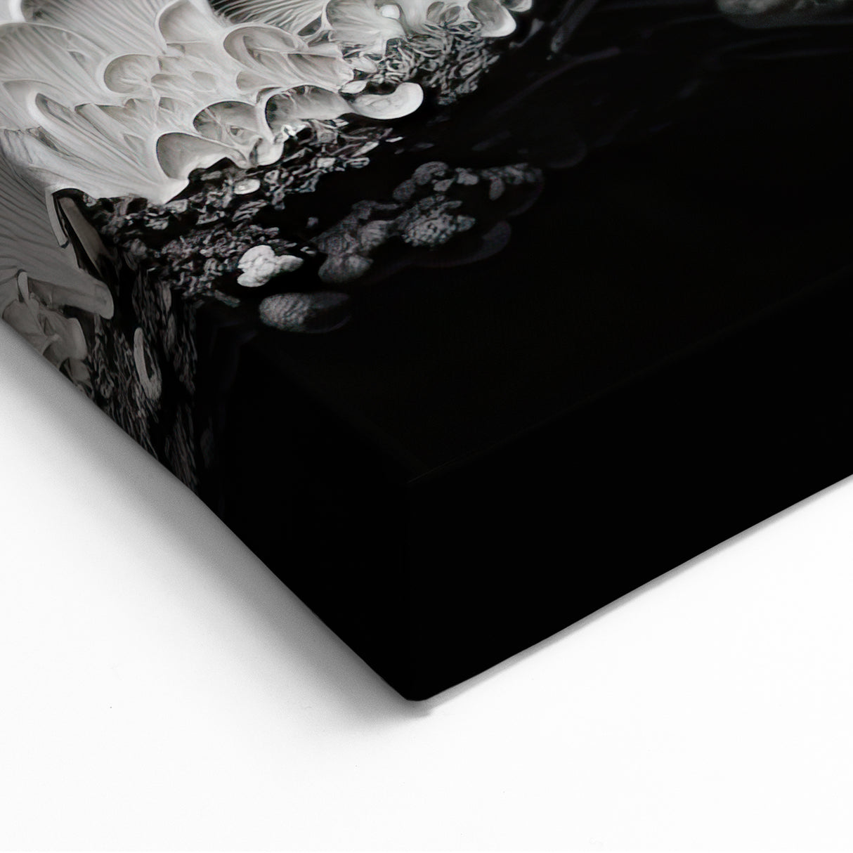 Monochrome Mushroom Macro Wall Art – Nature's Subtle Elegance