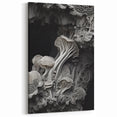 Intricate Mushroom Macro Wall Art – Organic Textures in Monochrome