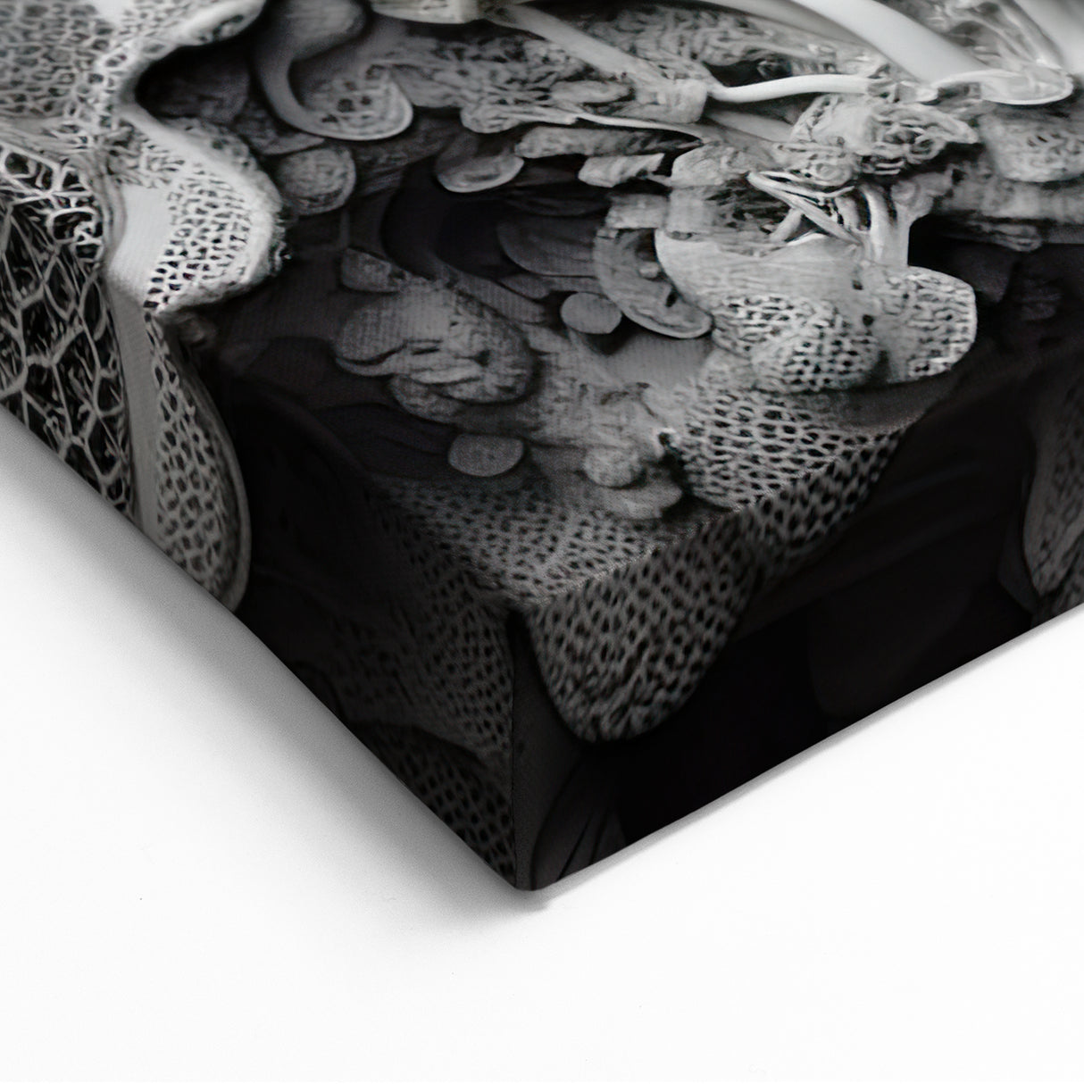Intricate Mushroom Macro Wall Art – Organic Textures in Monochrome