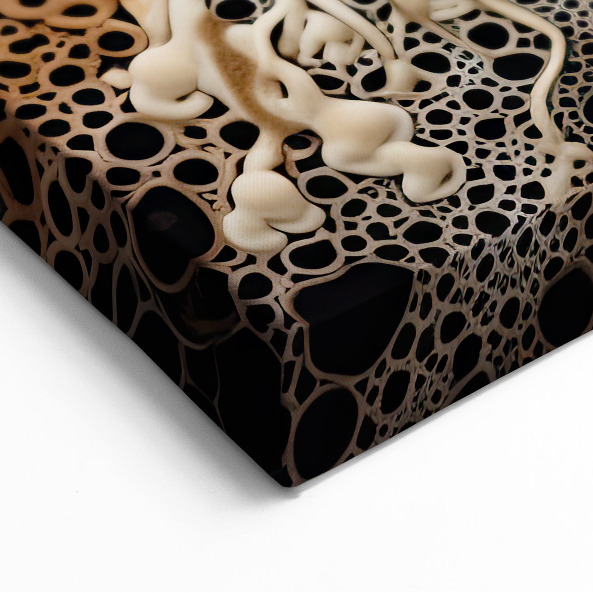 Graceful Mushroom Macro Wall Art – Organic Patterns and Warm Tones