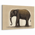 Elegant Elephant Art - Wildlife Painting Wall Art for Home Decor