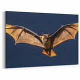 Flying Bat in Moonlight - Wildlife Photography Wall Art for Home Decor