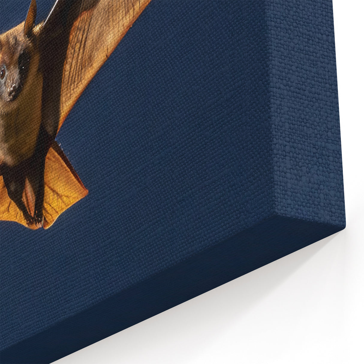 Flying Bat in Moonlight - Wildlife Photography Wall Art for Home Decor