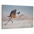 Elegant Crane in Flight - Wildlife Photography Wall Art for Home Decor