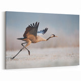 Elegant Crane in Flight - Wildlife Photography Wall Art for Home Decor