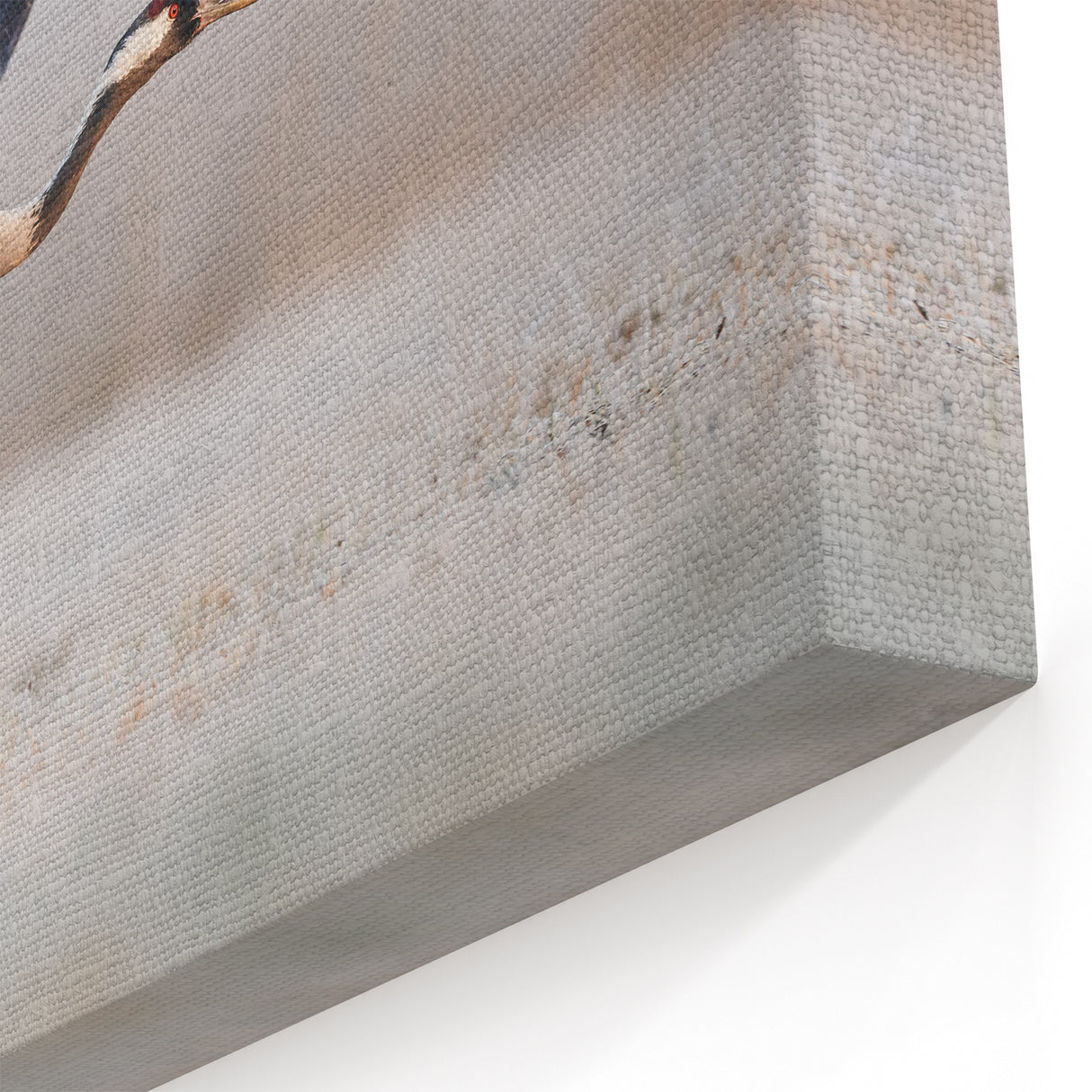 Elegant Crane in Flight - Wildlife Photography Wall Art for Home Decor