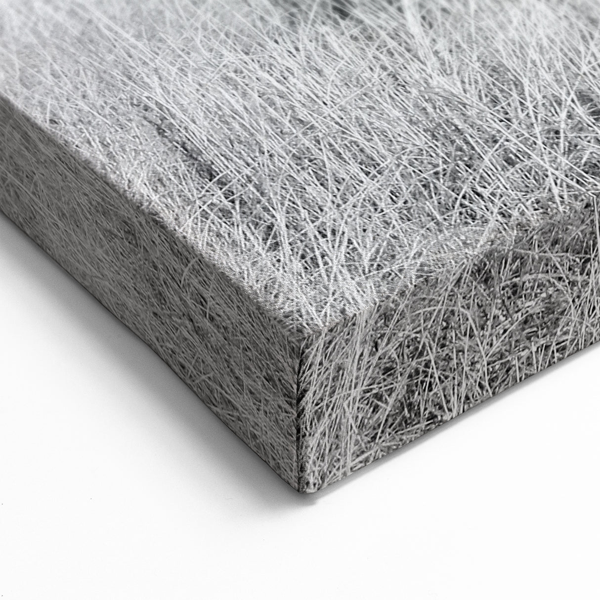 Majestic Bison in Grassland - Wildlife Photography Wall Art for Decor